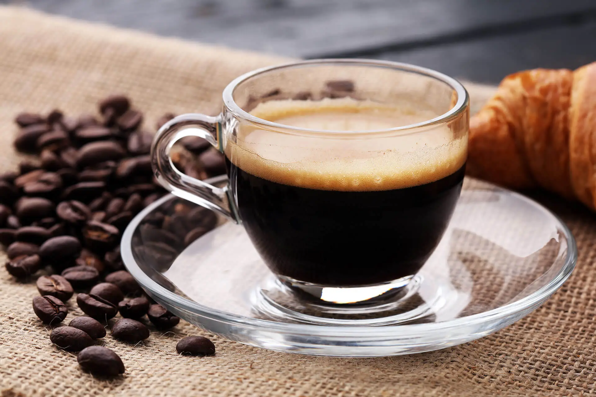 Le piante da balcone più facili da far fiorire con solo acqua e fondi di caffè Le piante da balcone più facili da far fiorire con solo acqua e fondi di caffè