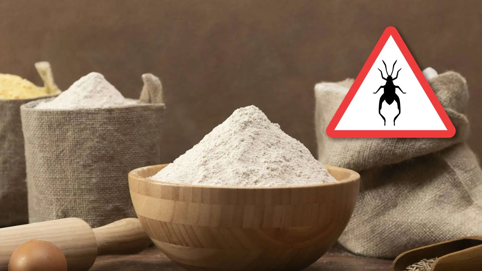Questi alimenti quotidiani nascondono rischi per la salute: ecco quali evitare Questi alimenti quotidiani nascondono rischi per la salute: ecco quali evitare
