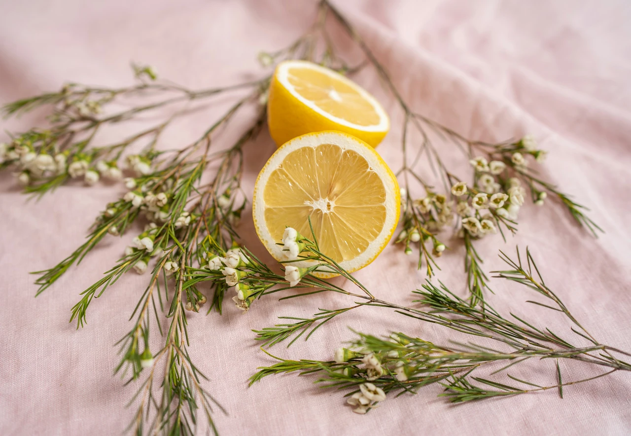 Cassetti che odorano di chiuso: ecco il trucco naturale che li profuma per giorni Cassetti che odorano di chiuso: ecco il trucco naturale che li profuma per giorni