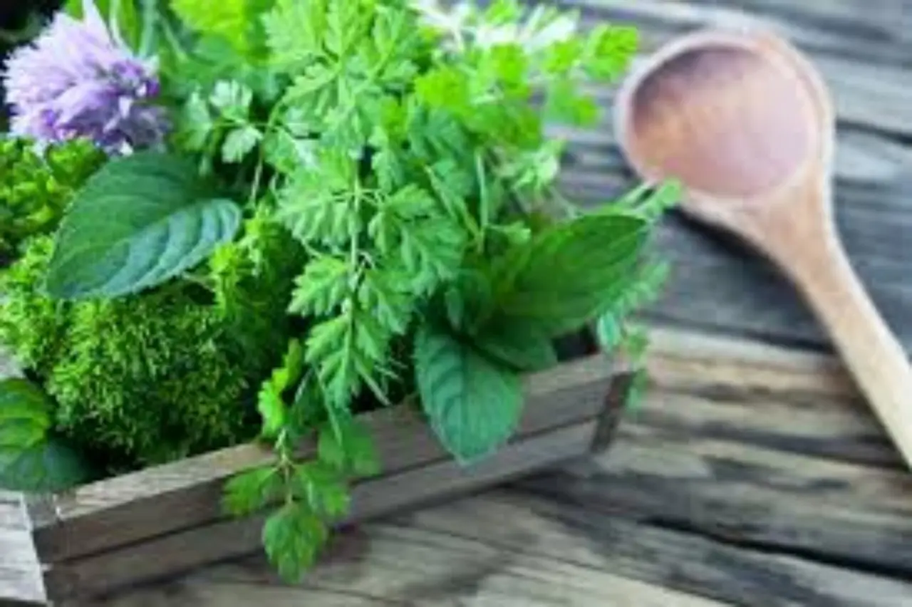 Occhi stanchi? Il rimedio naturale che migliora la vista in una settimana Occhi stanchi? Il rimedio naturale che migliora la vista in una settimana
