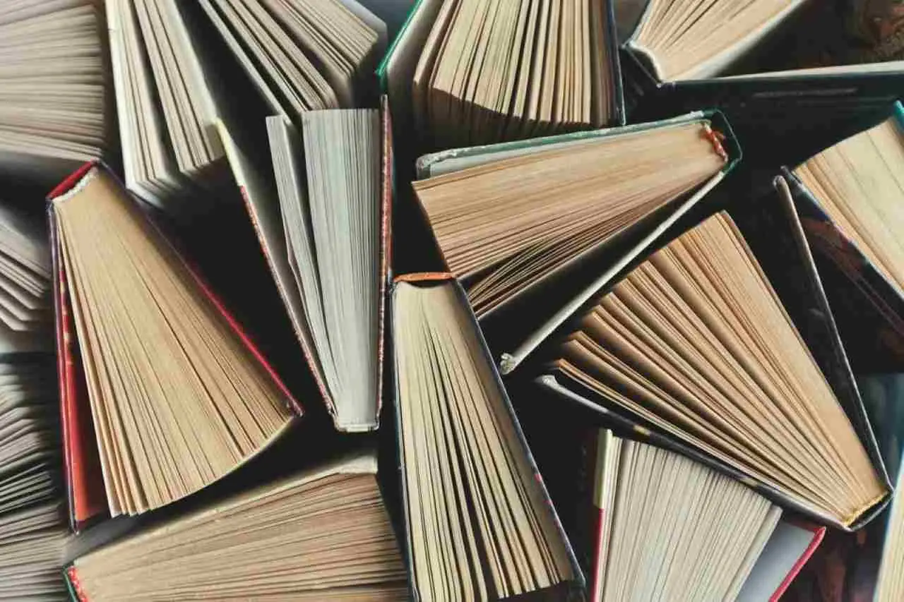 Bonus libri scolastici 2025: requisiti e modalità di richiesta Bonus libri scolastici 2025: requisiti e modalità di richiesta