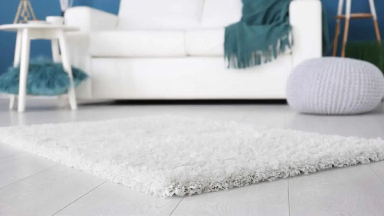 Come asciugare velocemente i tappeti stendendoli all’interno Come asciugare velocemente i tappeti stendendoli all’interno